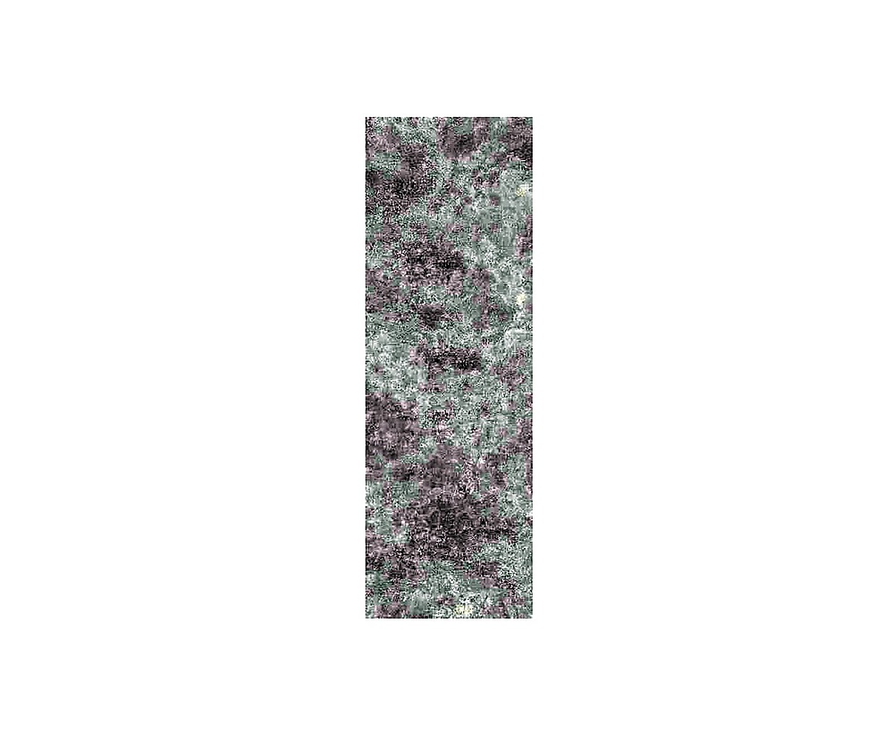 Vista Bone